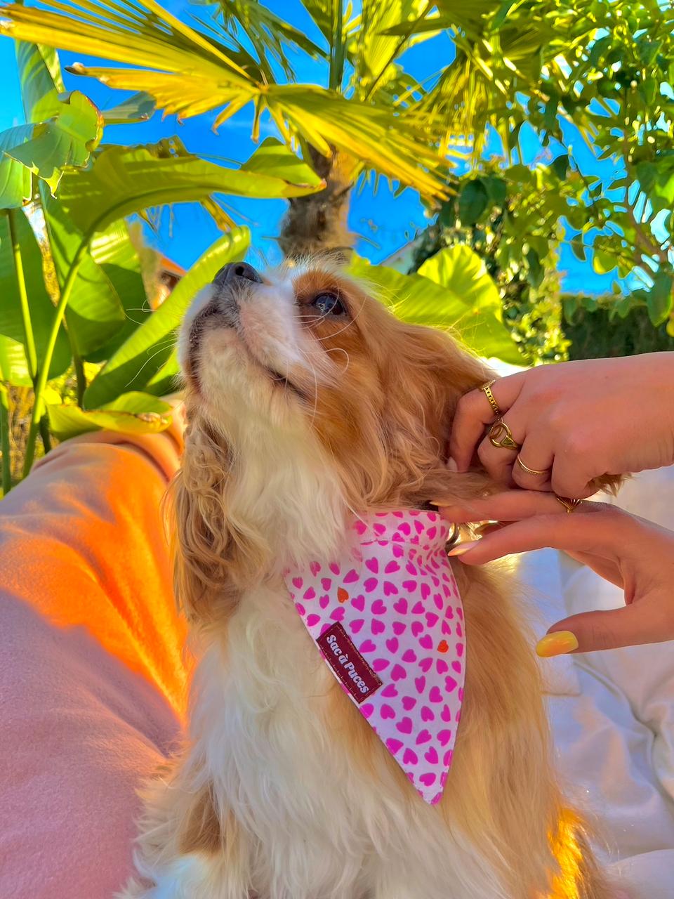 BANDANA LOVE LOVE