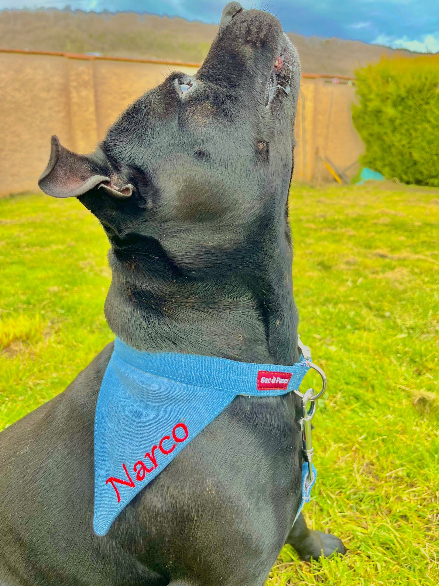 BANDANA LOUBARD