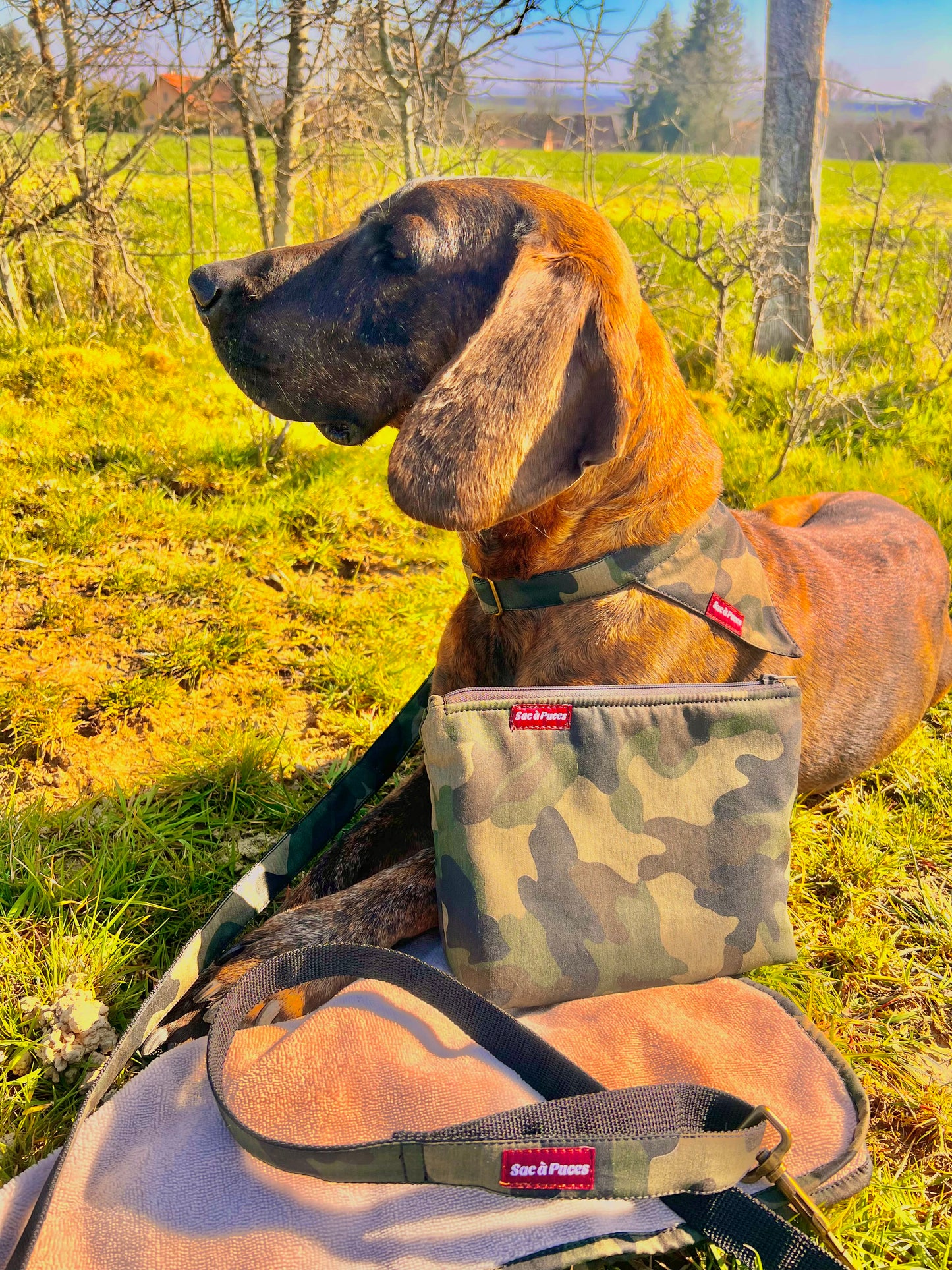 TROUSSE ESSUIE PATTES