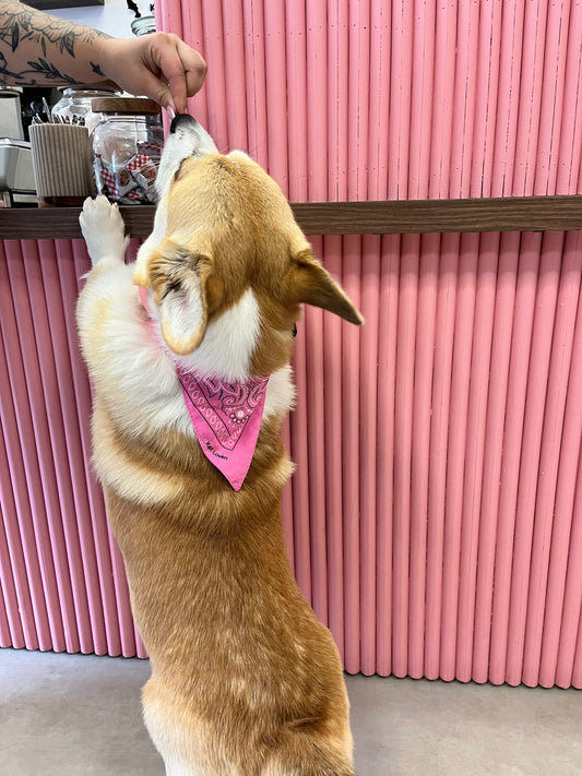 Bandana October