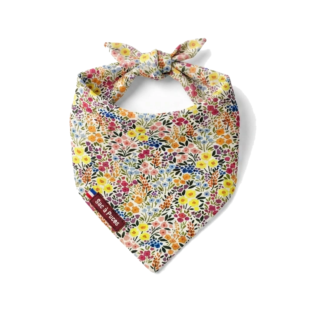 Bandanas - Chiens