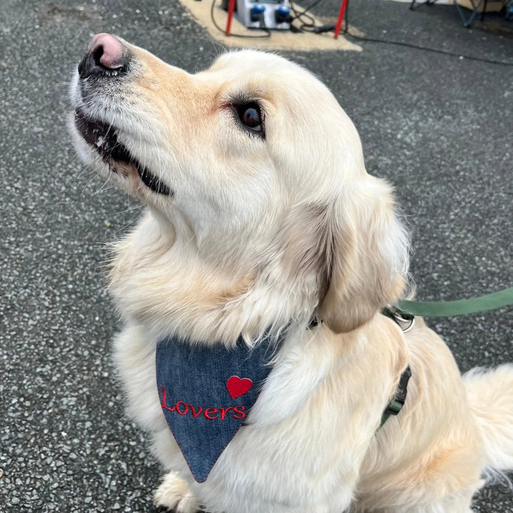 Bandanas - Chiens