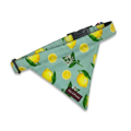 Colliers Bandanas - Chats