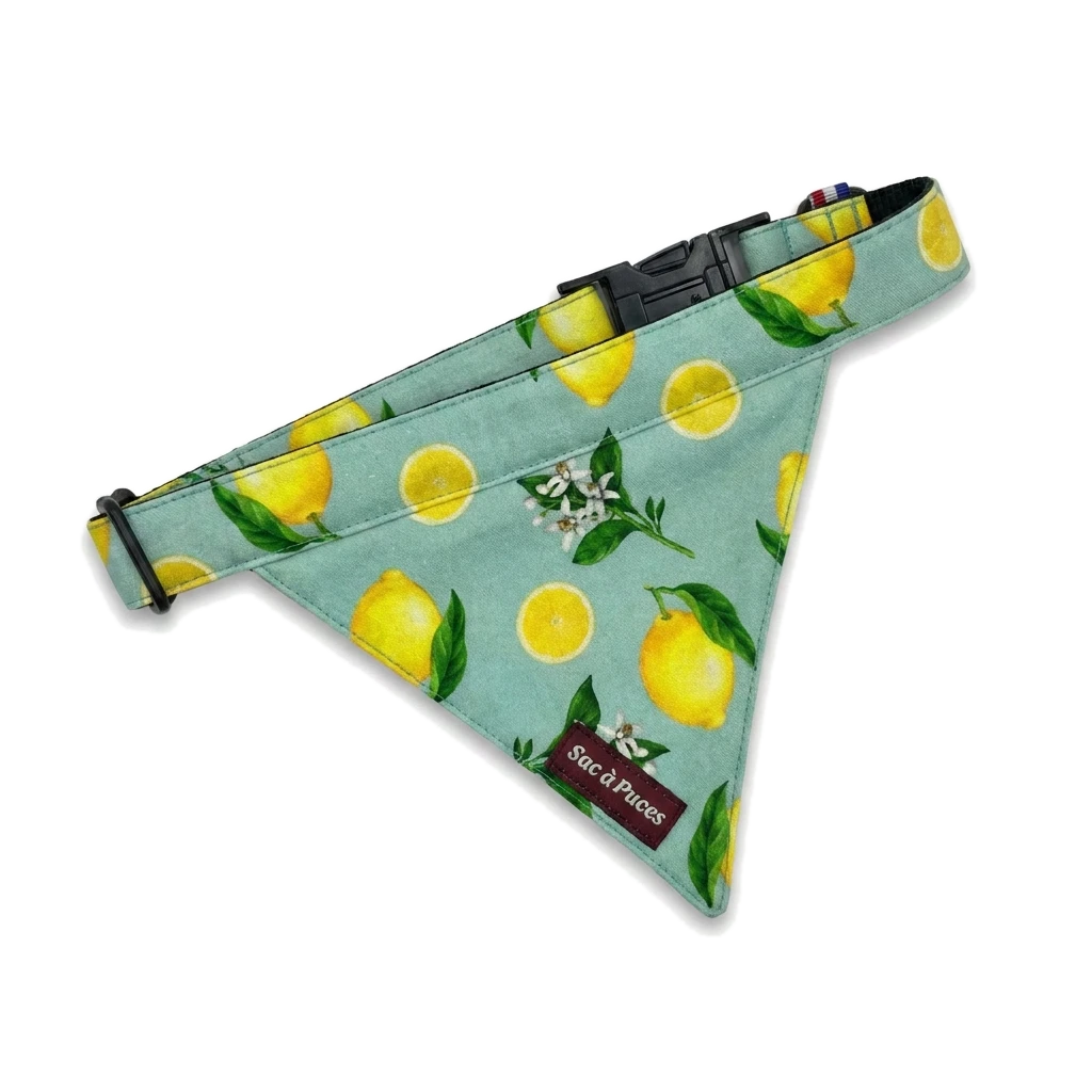 Colliers Bandanas - Chiens