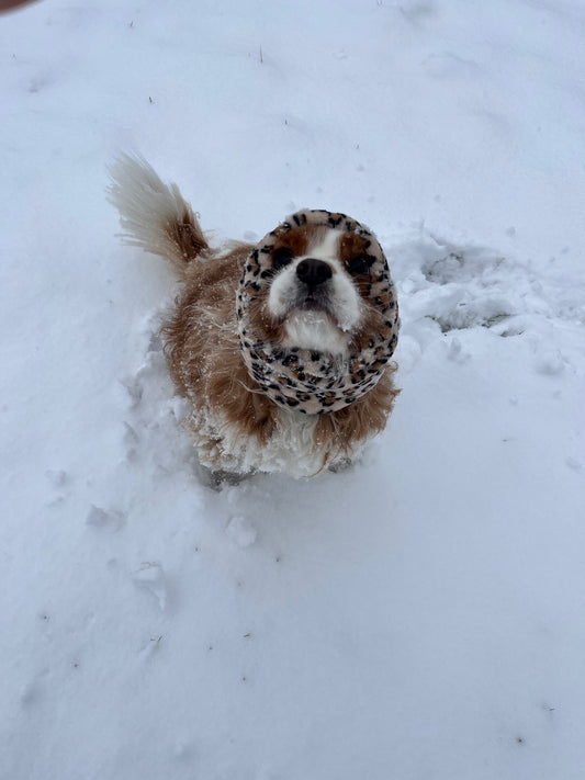 SNOOD PANTHÈRE 🐆 - Fausse fourrure