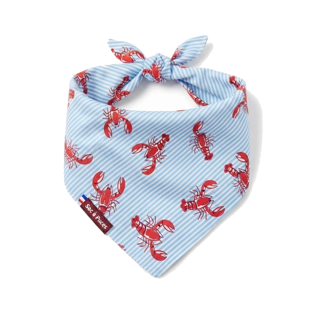 Bandanas - Chiens