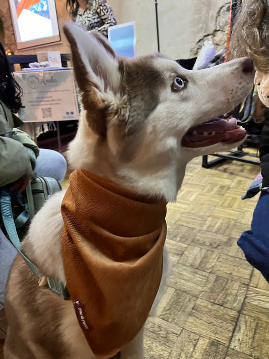 Bandana Petit Velours – Terracotta