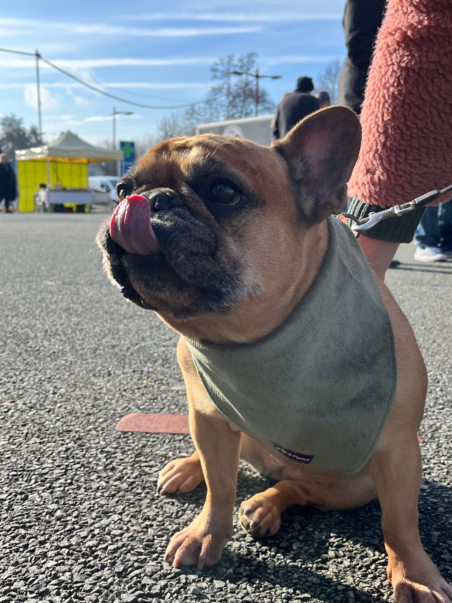 Bandana Petit Velours – Vert Sapin