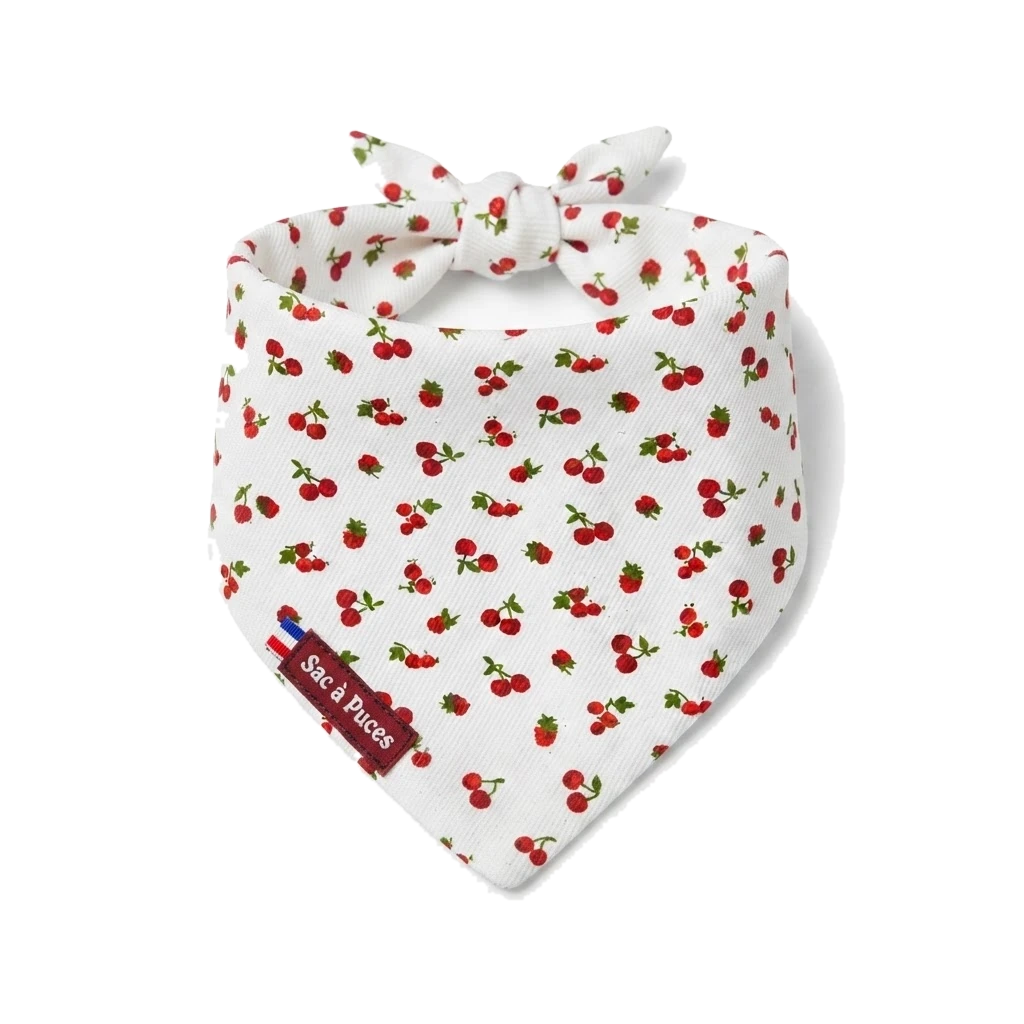 Bandanas - Chiens
